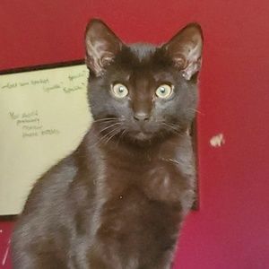 Meet your Posher, Zee